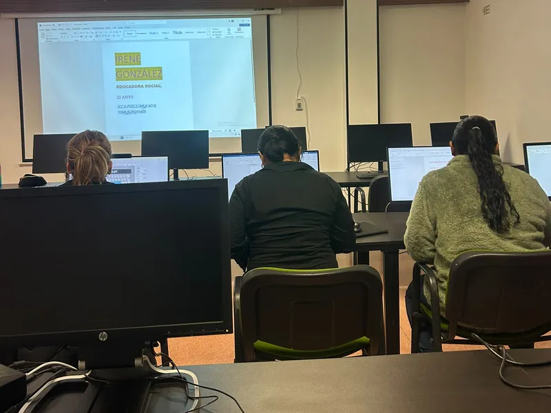 Elaboració del currículum a l'aula