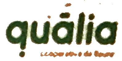 Qualia